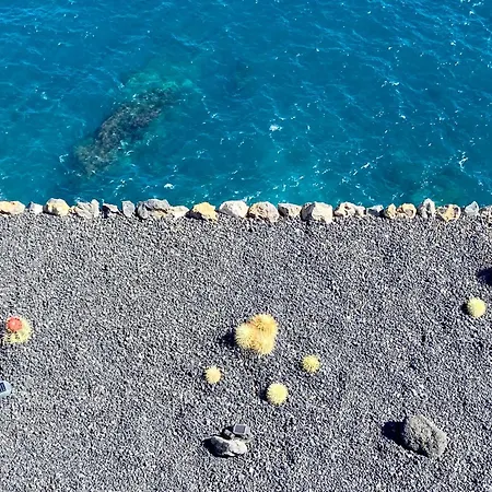 Oasis La Paz - Pelicar - Adults Only - Lejlighed