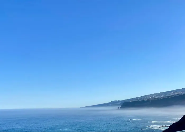 Oasis La Paz - Pelicar - Adults Only - Lejlighed