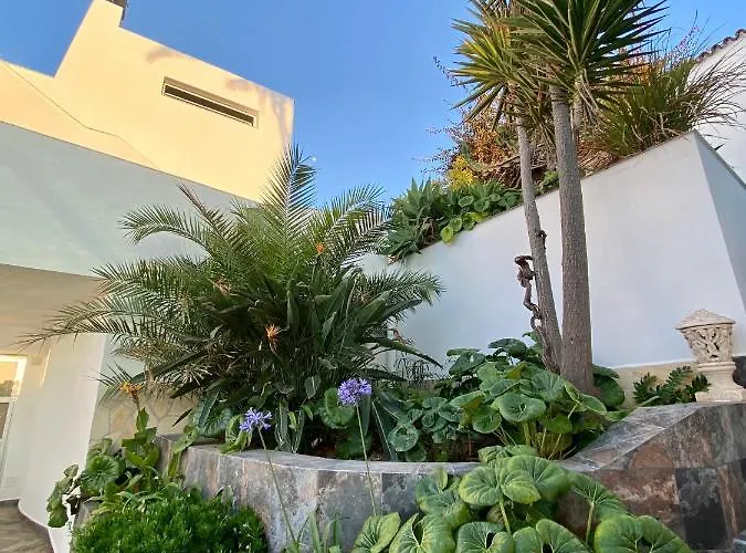 Lejlighed Oasis La Paz - Pelicar - Adults Only - *