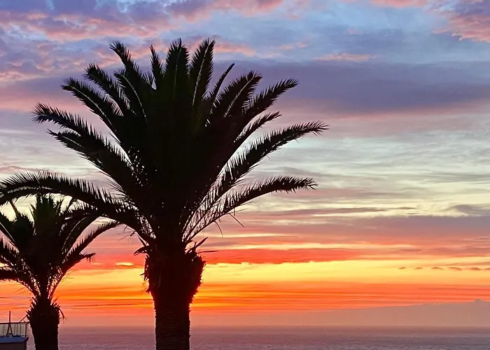 Oasis La Paz - Pelicar - Adults Only - Puerto de la Cruz (Tenerife)