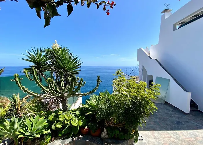 Oasis La Paz - Pelicar - Adults Only - *