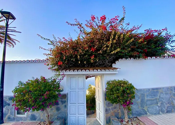 Oasis La Paz - Pelicar - Adults Only - Lejlighed *