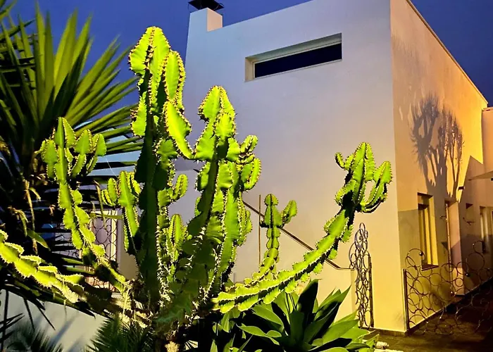 Oasis La Paz - Pelicar - Adults Only -