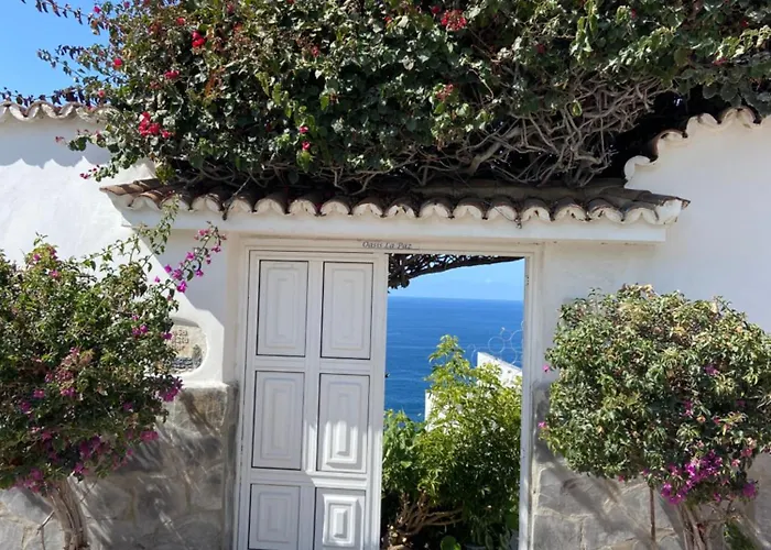 Oasis La Paz - Pelicar - Adults Only -