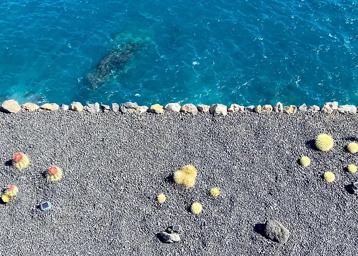 Oasis La Paz - Pelicar - Adults Only - Lejlighed