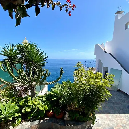 Oasis La Paz - Pelicar - Adults Only - *